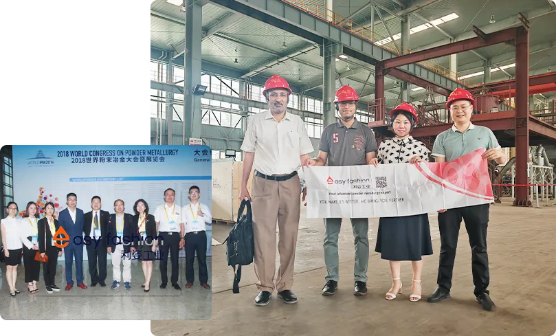 Şirket Profili Şirket Profili